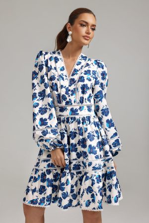 Rina V-Neck Printed Mini Dress